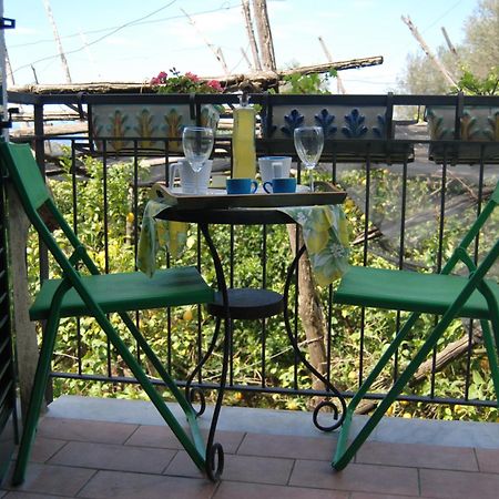 Sorrento Studios Lemons Hill Стая снимка