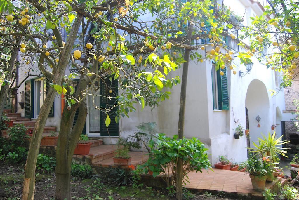 Sorrento Studios Lemons Hill Стая снимка