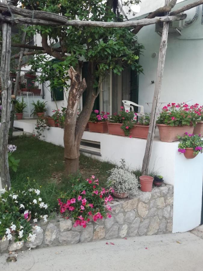 Sorrento Studios Lemons Hill Екстериор снимка