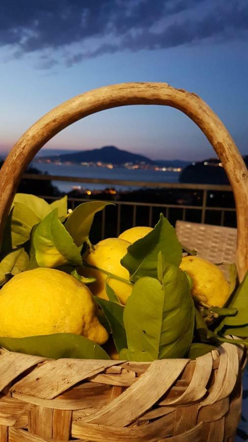Sorrento Studios Lemons Hill Екстериор снимка