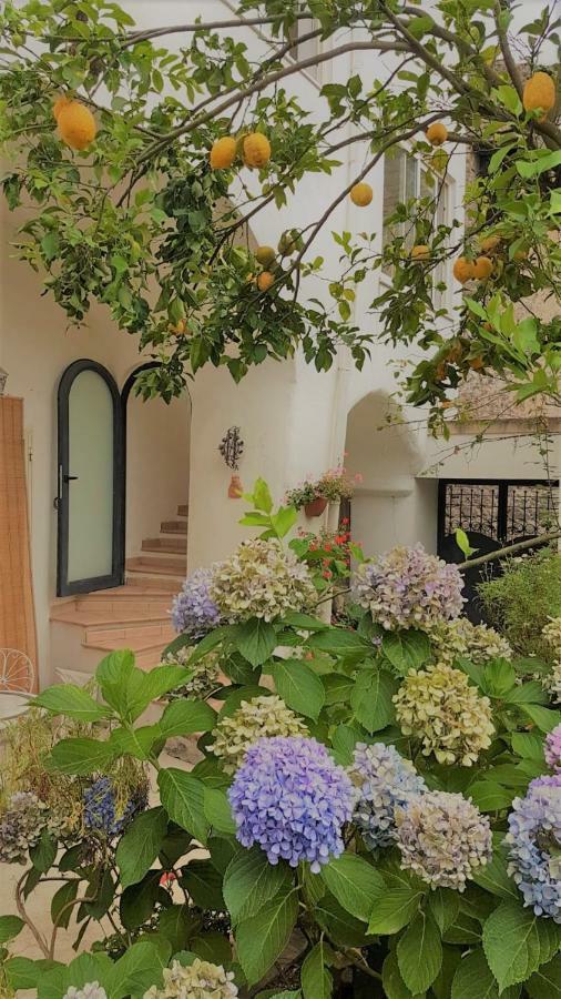 Sorrento Studios Lemons Hill Екстериор снимка